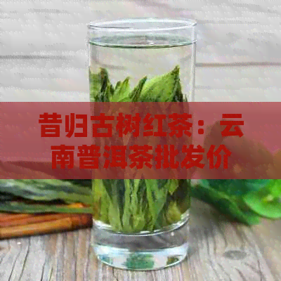 昔归古树红茶：云南普洱茶批发价