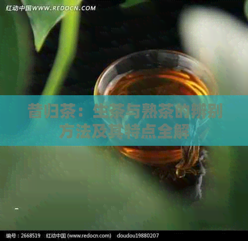 昔归茶：生茶与熟茶的辨别方法及其特点全解