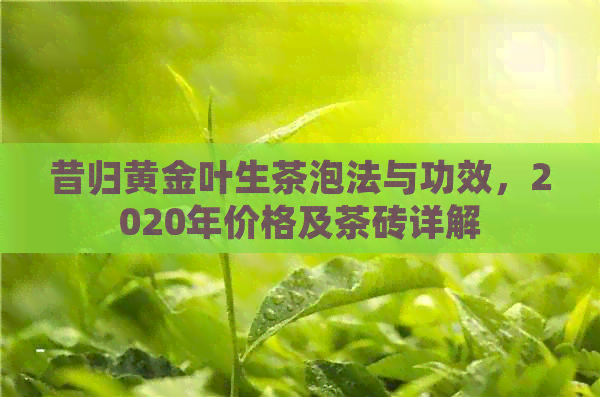 昔归黄金叶生茶泡法与功效，2020年价格及茶砖详解