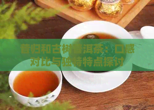 昔归和古树普洱茶：口感对比与独特特点探讨