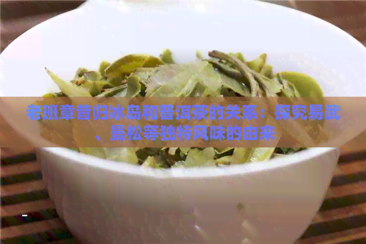 老班章昔归冰岛和普洱茶的关系：探究易武、曼松等独特风味的由来