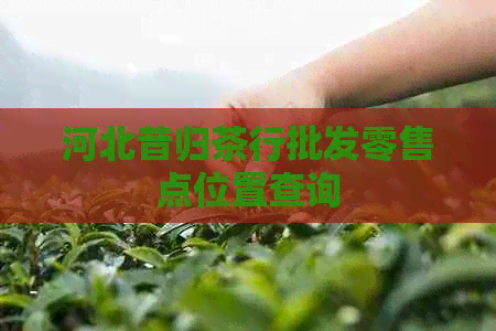 河北昔归茶行批发零售点位置查询