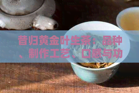 昔归黄金叶生茶：品种、制作工艺、口感与功效全方位解析，助您了解与选购