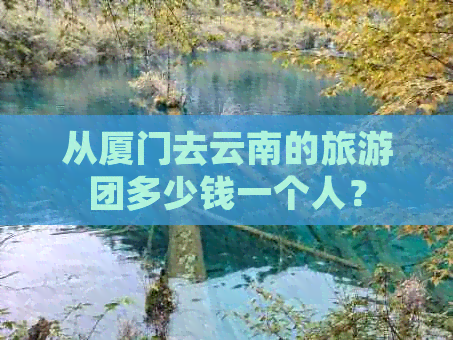 从厦门去云南的旅游团多少钱一个人？