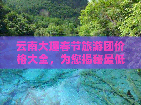 云南大理春节旅游团价格大全，为您揭秘更低报价！