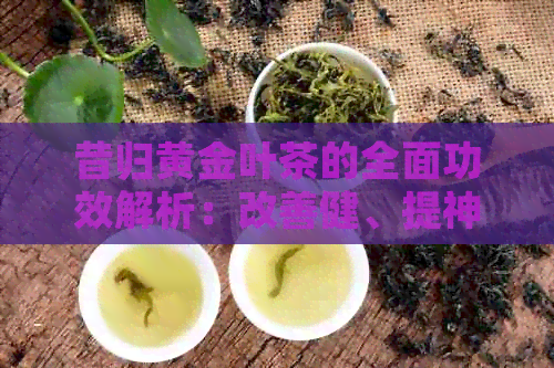 昔归黄金叶茶的全面功效解析：改善健、提神醒脑、抗氧化等多重作用