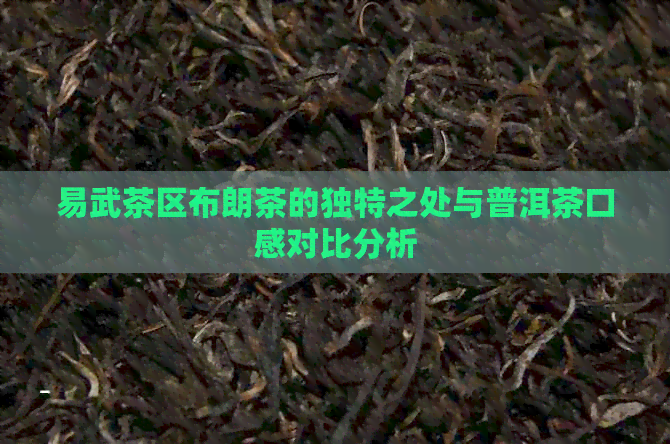 易武茶区布朗茶的独特之处与普洱茶口感对比分析