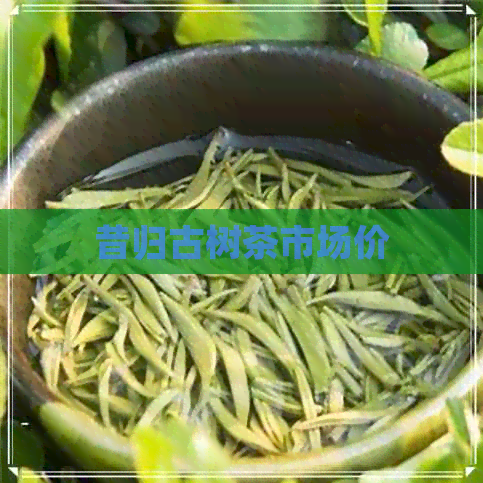 昔归古树茶市场价