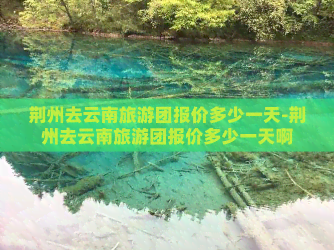 荆州去云南旅游团报价多少一天-荆州去云南旅游团报价多少一天啊