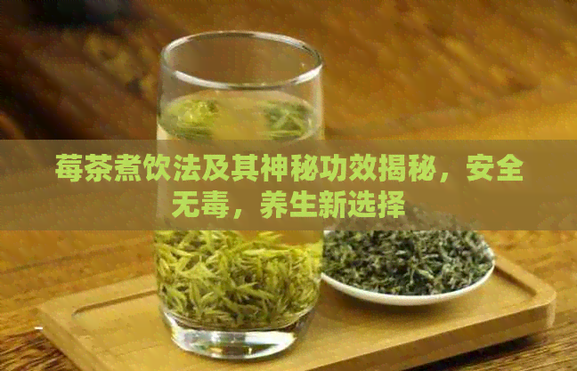 莓茶煮饮法及其神秘功效揭秘，安全无，养生新选择