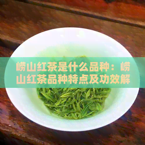 崂山红茶是什么品种：崂山红茶品种特点及功效解析