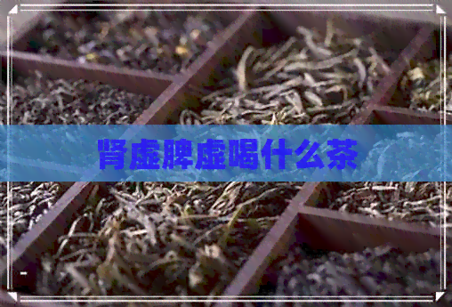 肾虚脾虚喝什么茶