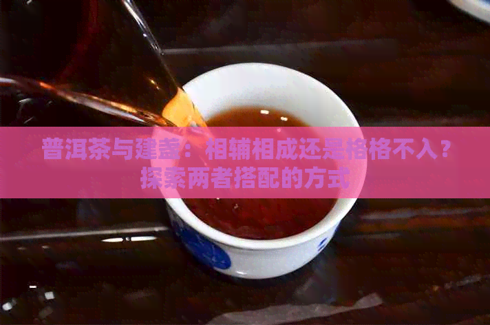 普洱茶与建盏：相辅相成还是格格不入？探索两者搭配的方式