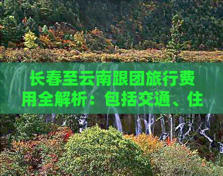 长春至云南跟团旅行费用全解析：包括交通、住宿、餐饮等详细费用及预订指南