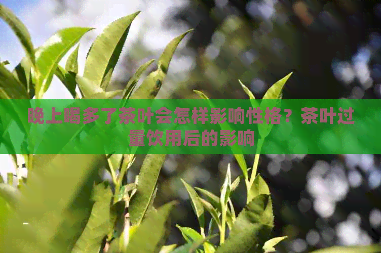 晚上喝多了茶叶会怎样影响性格？茶叶过量饮用后的影响