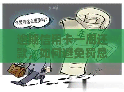 逾期信用卡一周还款，如何避免罚息和信用影响？全面解决方案一览