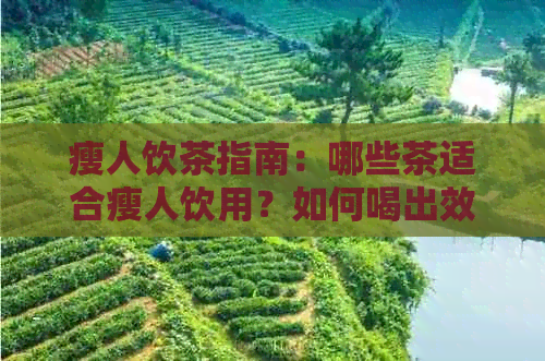 瘦人饮茶指南：哪些茶适合瘦人饮用？如何喝出效果？