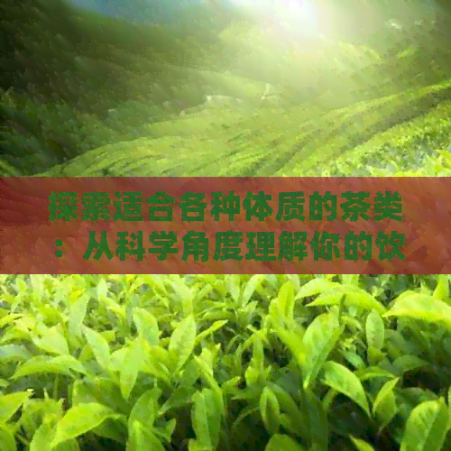 探索适合各种体质的茶类：从科学角度理解你的饮茶选择