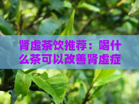 肾虚茶饮推荐：喝什么茶可以改善肾虚症状？