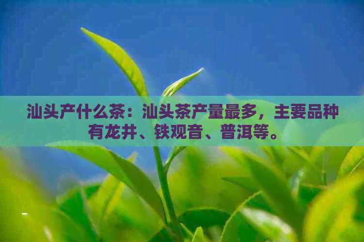 汕头产什么茶：汕头茶产量最多，主要品种有龙井、铁观音、普洱等。