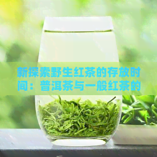 新探索野生红茶的存放时间：普洱茶与一般红茶的保质期差异