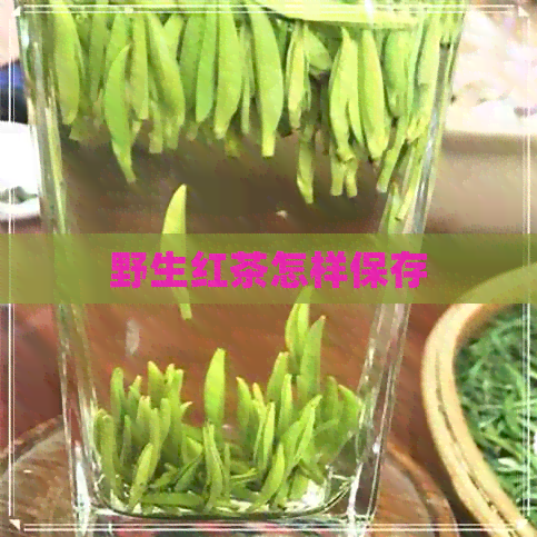 野生红茶怎样保存