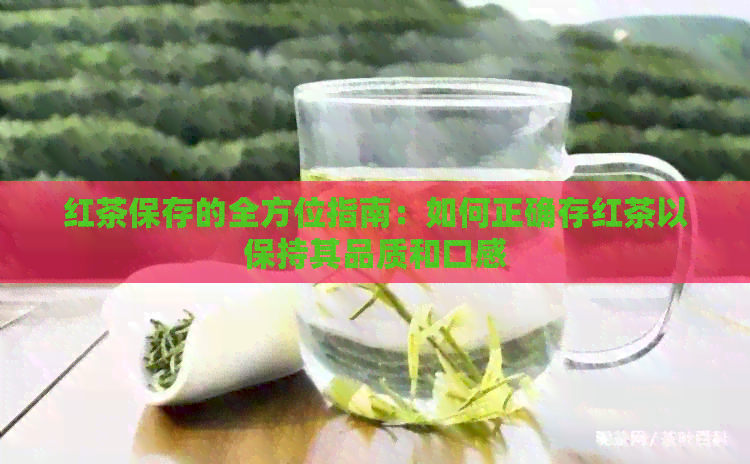 红茶保存的全方位指南：如何正确存红茶以保持其品质和口感