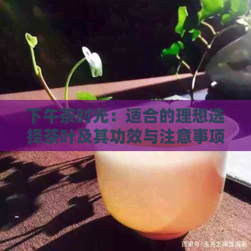 下午茶时光：适合的理想选择茶叶及其功效与注意事项