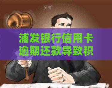 浦发银行信用卡逾期还款导致积分清零，如何解决恢复持卡人权益？