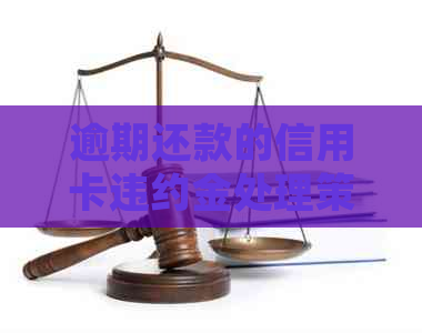 逾期还款的信用卡违约金处理策略：如何避免额外利息和信用损害