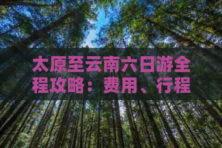 太原至云南六日游全程攻略：费用、行程安排、住宿、交通一应俱全