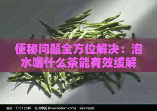 便秘问题全方位解决：泡水喝什么茶能有效缓解便秘？