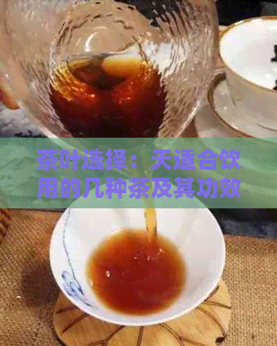 茶叶选择：天适合饮用的几种茶及其功效和推荐