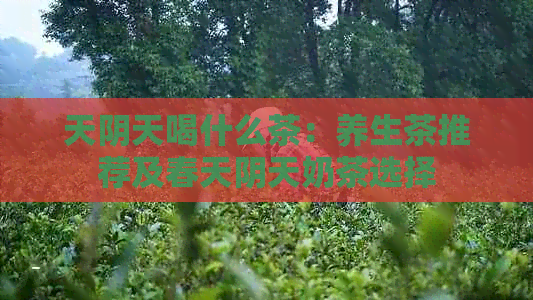 天阴天喝什么茶：养生茶推荐及春天阴天奶茶选择