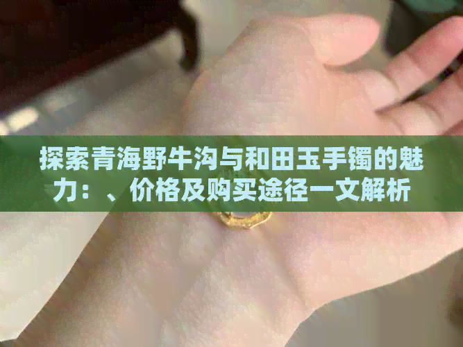 探索青海野牛沟与和田玉手镯的魅力：、价格及购买途径一文解析