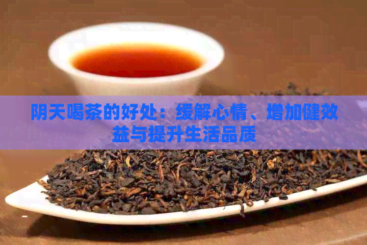 阴天喝茶的好处：缓解心情、增加健效益与提升生活品质