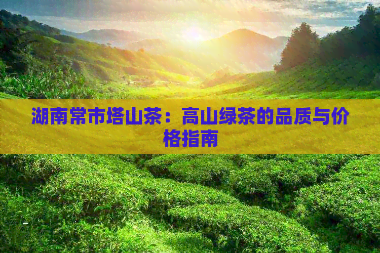 湖南常市塔山茶：高山绿茶的品质与价格指南