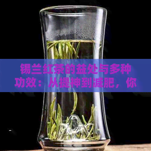 锡兰红茶的益处与多种功效：从提神到减肥，你不可不知！