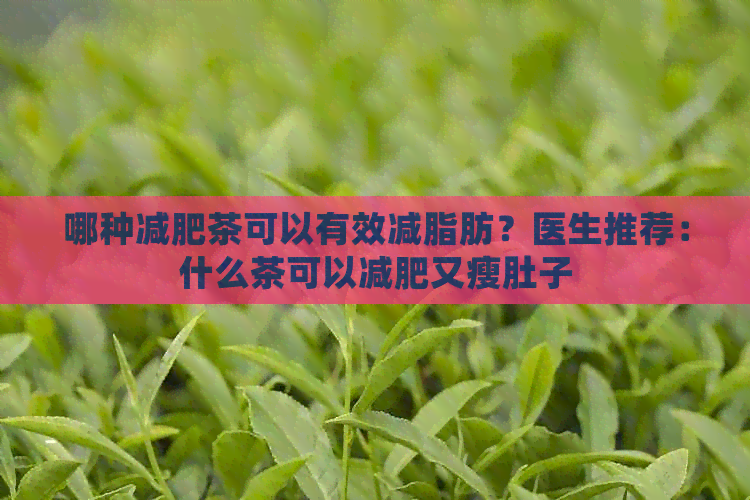 哪种减肥茶可以有效减脂肪？医生推荐：什么茶可以减肥又瘦肚子