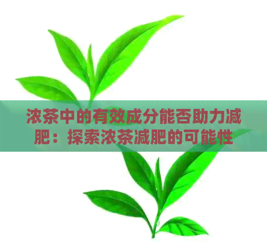 浓茶中的有效成分能否助力减肥：探索浓茶减肥的可能性