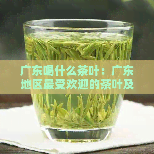 广东喝什么茶叶：广东地区更受欢迎的茶叶及品味建议