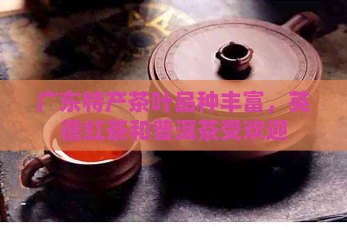 广东特产茶叶品种丰富，英德红茶和普洱茶受欢迎