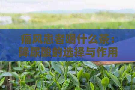 痛风患者喝什么茶：降尿酸的选择与作用茶叶推荐