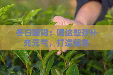 冬日暖阳：喝这些茶补充元气，打造健冬