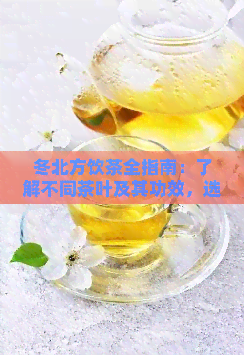 冬北方饮茶全指南：了解不同茶叶及其功效，选择最适合你的暖心饮品