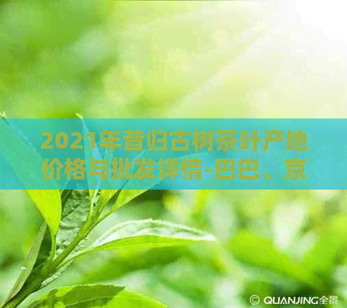 2021年昔归古树茶叶产地价格与批发详情-巴巴、京东云南临沧普洱茶专场促销