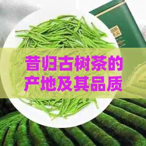 昔归古树茶的产地及其品质特点：了解茶叶背后的故事与品尝技巧