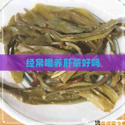 经常喝养肝茶好吗