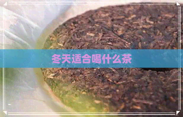 冬天适合喝什么茶