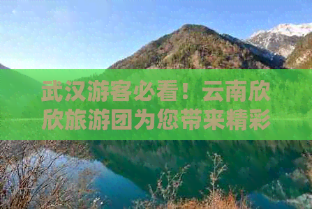 武汉游客必看！云南欣欣旅游团为您带来精彩西双版纳、昆明、丽江、大理之旅